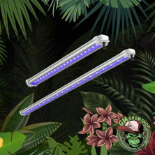 Barra LED Ultravioleta 30W (dos tamaños) sobre fondo selva.