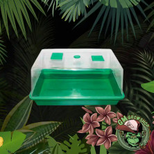 Foto sobre fondo selva de Propagador Plástico verde