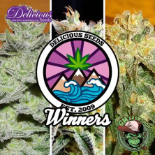 Pack Winners Collection del banco Delicious Seeds.