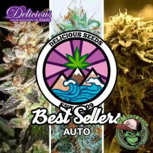 Pack Auto Gourmet Collection 1 del banco Delicious Seeds.