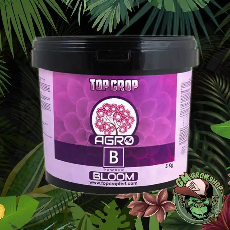Top Agro B Bloom Powder de TOP CROP 5kg