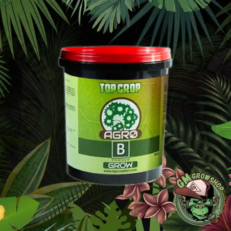 Top Agro B Grow Powder