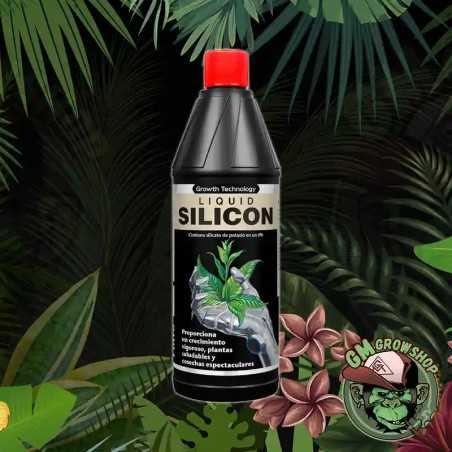 Liquid Silicon