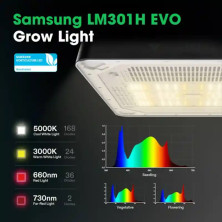 VGrow Smart Grow Box de VIVOSUN