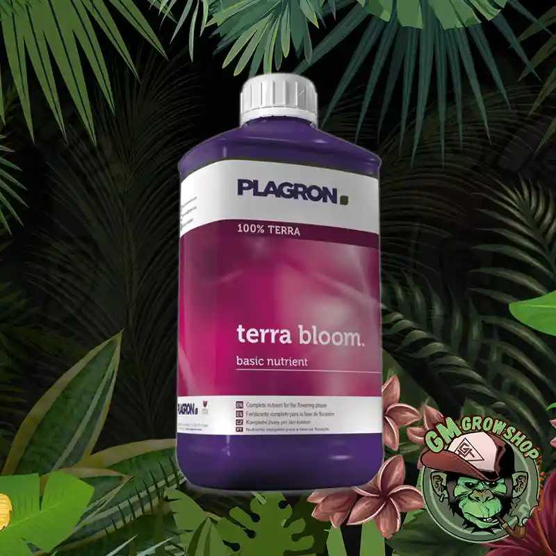 Terra Bloom