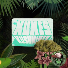 Kushmintz Xuxes CBD