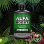 Alfa Boost Alfa Boost