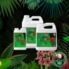 Foto envases blancos con etiqueta verde Iguana Juice Bloom todos los tamaños