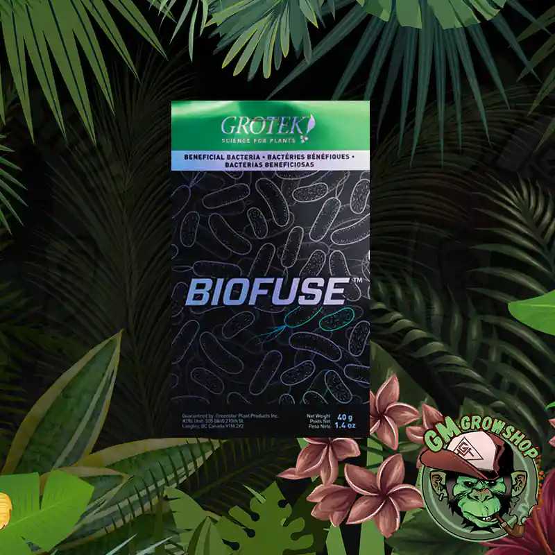 Biofuse