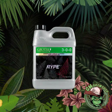 Garrafa gris 1l con etiqueta verde y negra de Rype de Grotek