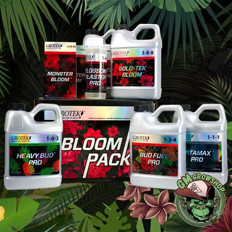 Bloom Pack