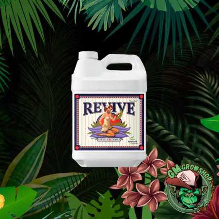 Revive