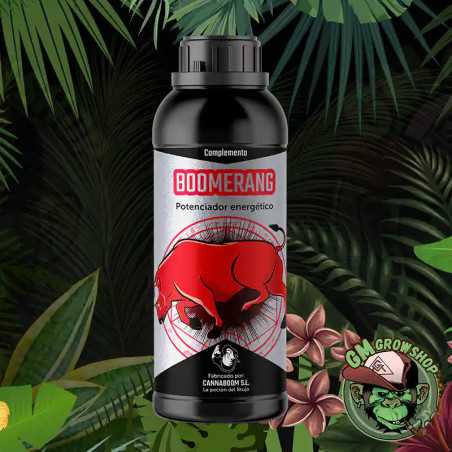 Foto de botella negra con etiqueta roja 1l de Boomerang de Cannaboom