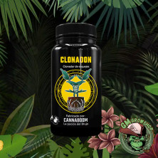 Foto de botella negra con etiqueta amarilla 150ml de clonadon de cannaboom