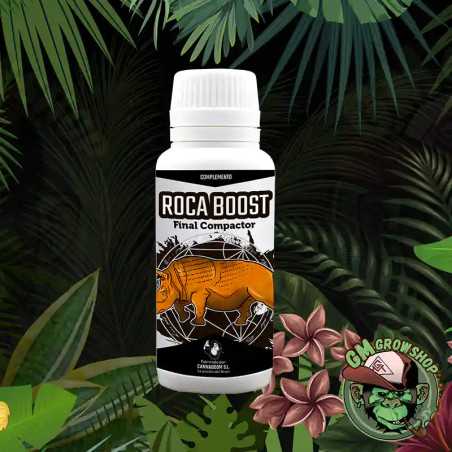 Roca Boost