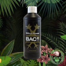 Foto de botella negra con etiqueta negra y verde 500ml de Silica Powr de Bac