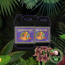 Foto dos botellas negras 0.5 litros con etiqueta lila Sensi Bloom A+B