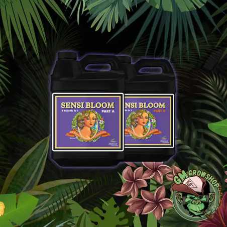 Sensi Bloom A+B