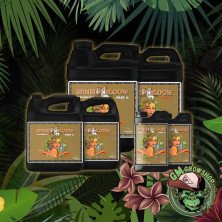 Foto envases negros con etiqueta marrón Sensi Bloom Coco A+B todos los tamaños