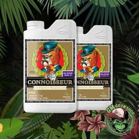 Connoisseur Bloom Coco A+B