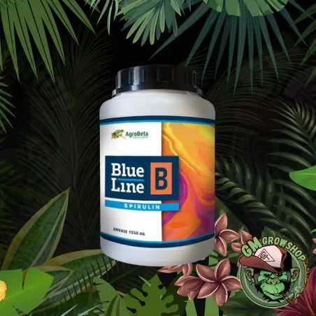 Blue Line B