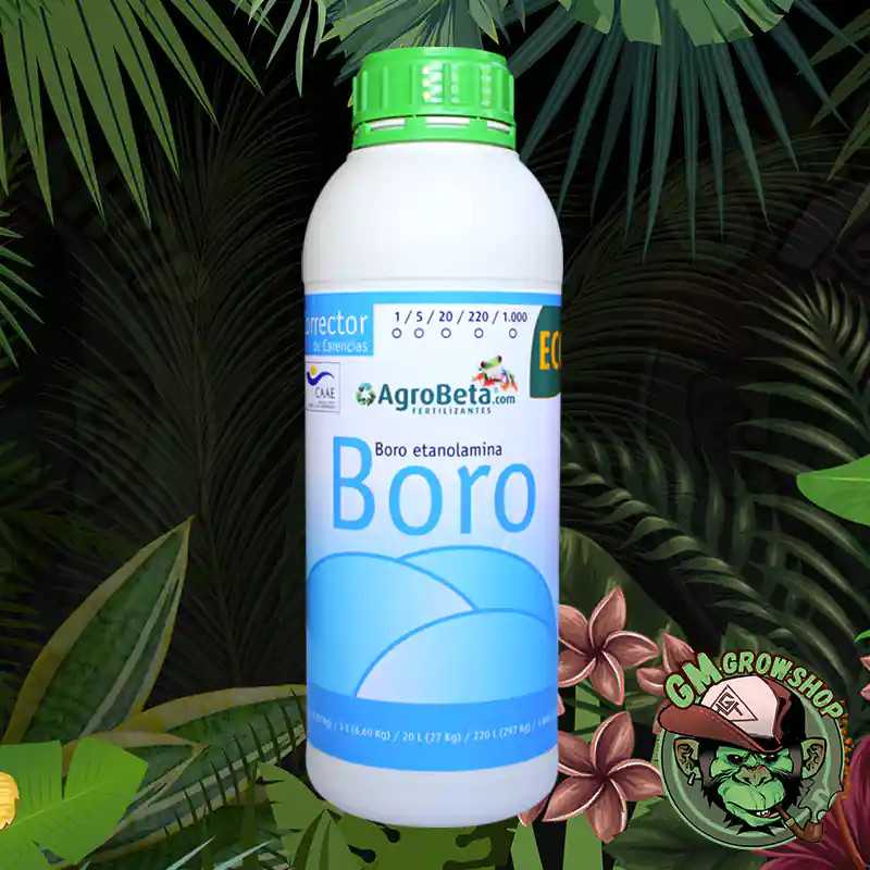 Boro Eco