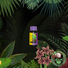 Foto de botella negra con etiqueta amarilla y morada de B'Cuzz Booster Soil Universal pequeña