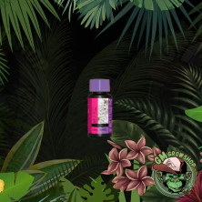 Foto de botella negra con etiqueta rosa y blanca de B'Cuzz Bloom Stimulator pequeña