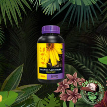 Foto de botella negra con etiqueta amarilla de B'Cuzz Premium Plant Powder para tierra