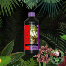 Foto de botella negra con etiqueta roja y verde de B'Cuzz Booster Coco Universal mediana
