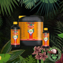 Foto de botellas negras con etiqueta naranja de Flower C