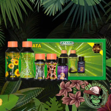 Caja verde de Micro Kit Tierra All In One con todos los productos incluidos al frente