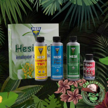 Foto de caja de Hesi Pack blanca y verde con las botellas de los 4 productos invluidos delante