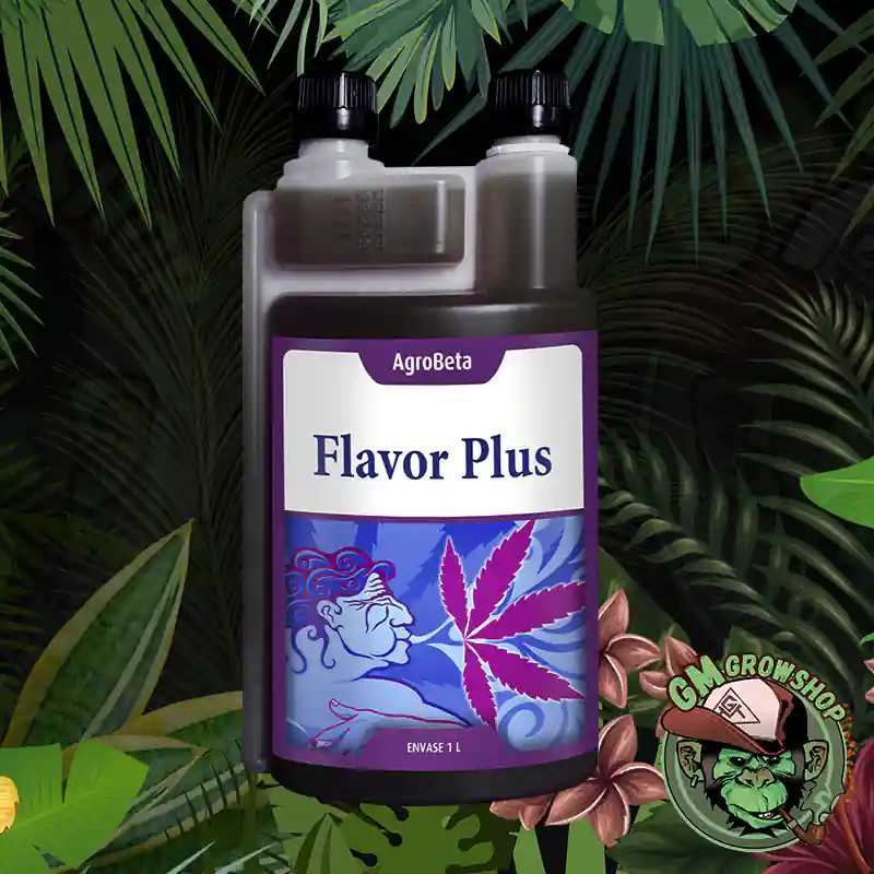 Flavor Plus