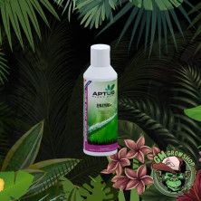 Foto de botella blanca con etiqueta verde de Enzym+ pequeña
