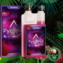 Botella transparente 600ml con etiqueta rosa de pyramid de agrobeta