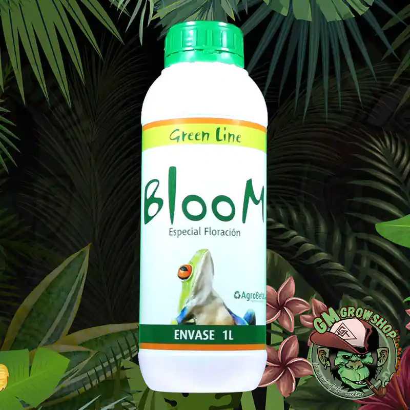 Bloom Green Line