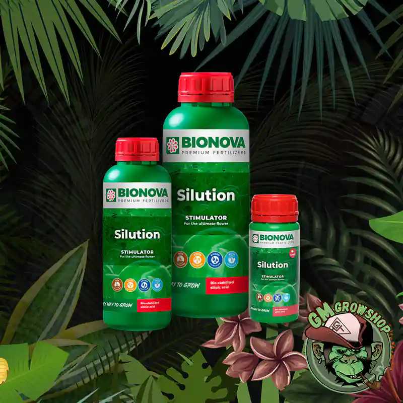 Foto de todos los formatos de botella verde con etiqueta verde y tapón rojo de Silution