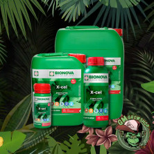 Foto de todos los formatos de botella verde con etiqueta verde de X Cel
