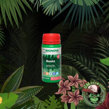 Foto de botella verde con etiqueta verde de Roots pequeña