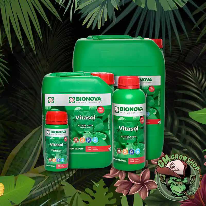 Foto de todos los formatos de botella verde con etiqueta verde de Vitasol
