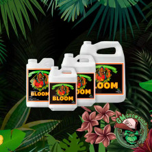 Foto envases blancos con etiqueta negra Bloom pH Perfect todos los tamaños