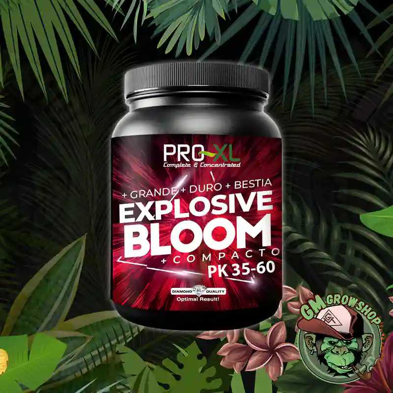 Explosive Bloom
