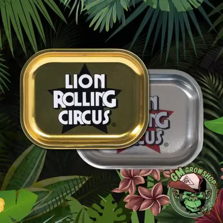 Bandeja Metálica Pequeña Lion Rolling Circus