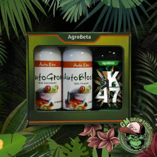 Foto de caja verde con tres botellas de 1l de fertilizante Auto de Agrobeta