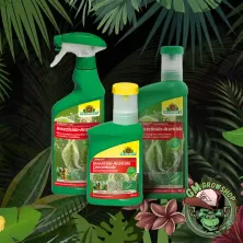 Foto de las tres botellas verdes de Spruzit, 250ml, 500ml y spray sobre fondo selva