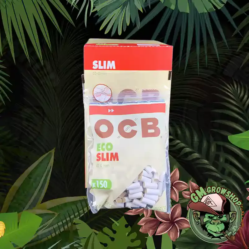 Filtros OCB Cáñamo Orgánico BIO