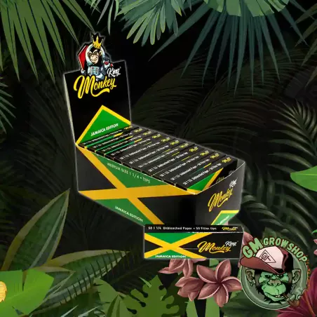 Monkey Pack Classic Jamaican Edition