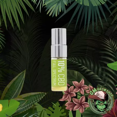 Spray CBD de Menta