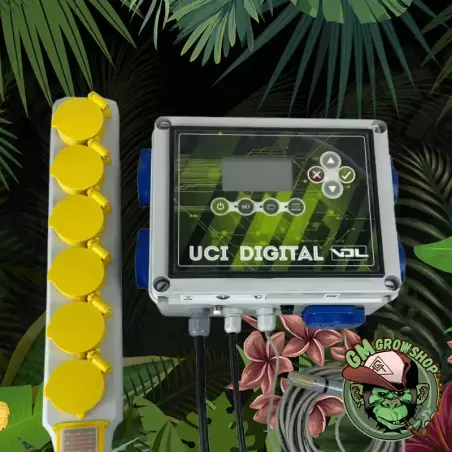 UCI Digital VDL